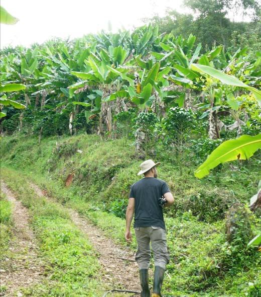 C2470.00_04_02_12.Imagen fija004